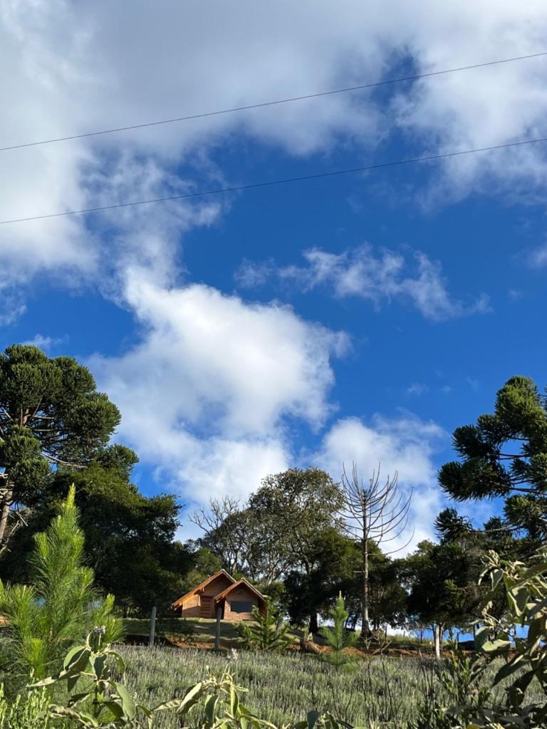 Chalé Pinheiros da Mantiqueira