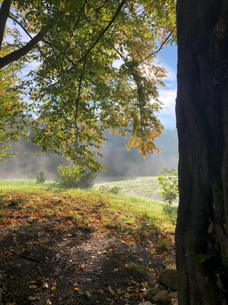 Dolina Zdrowia u Skrzypków photo 2