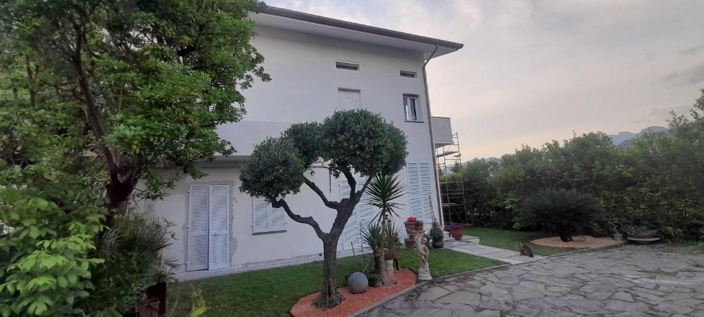 Casa Rebecca photo 3
