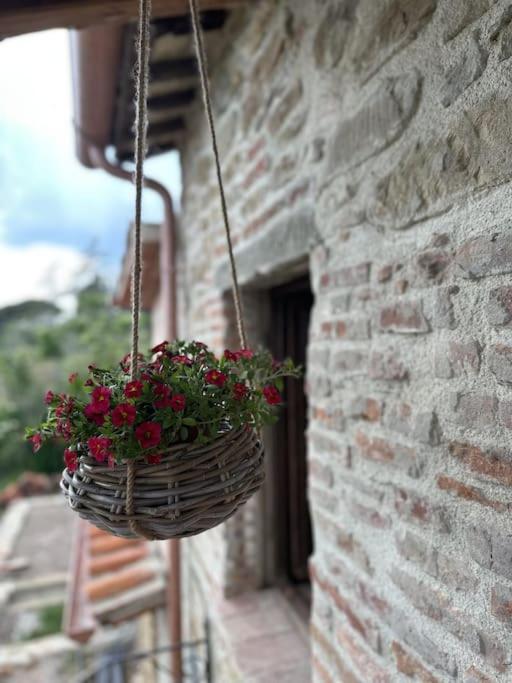 L'oasi delle volpi photo 3