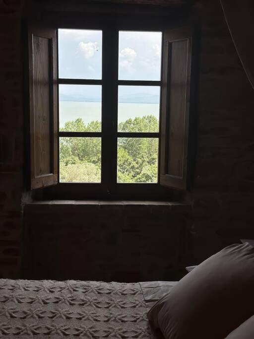 L'oasi delle volpi photo 4