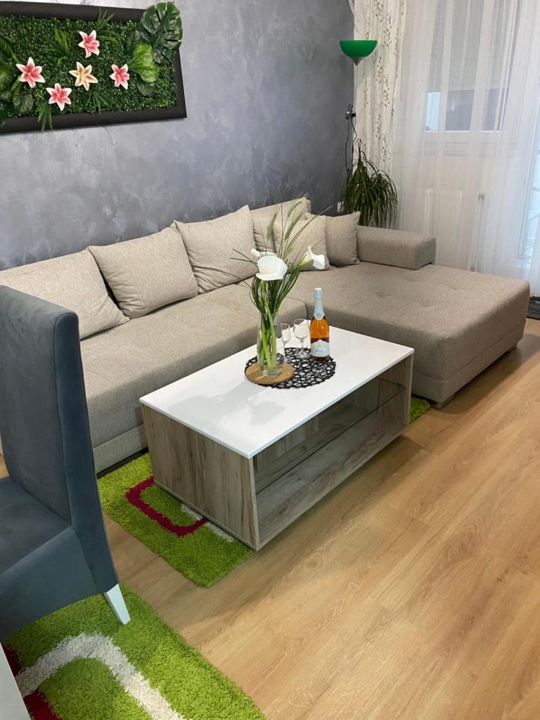 Apartman Popović photo 3