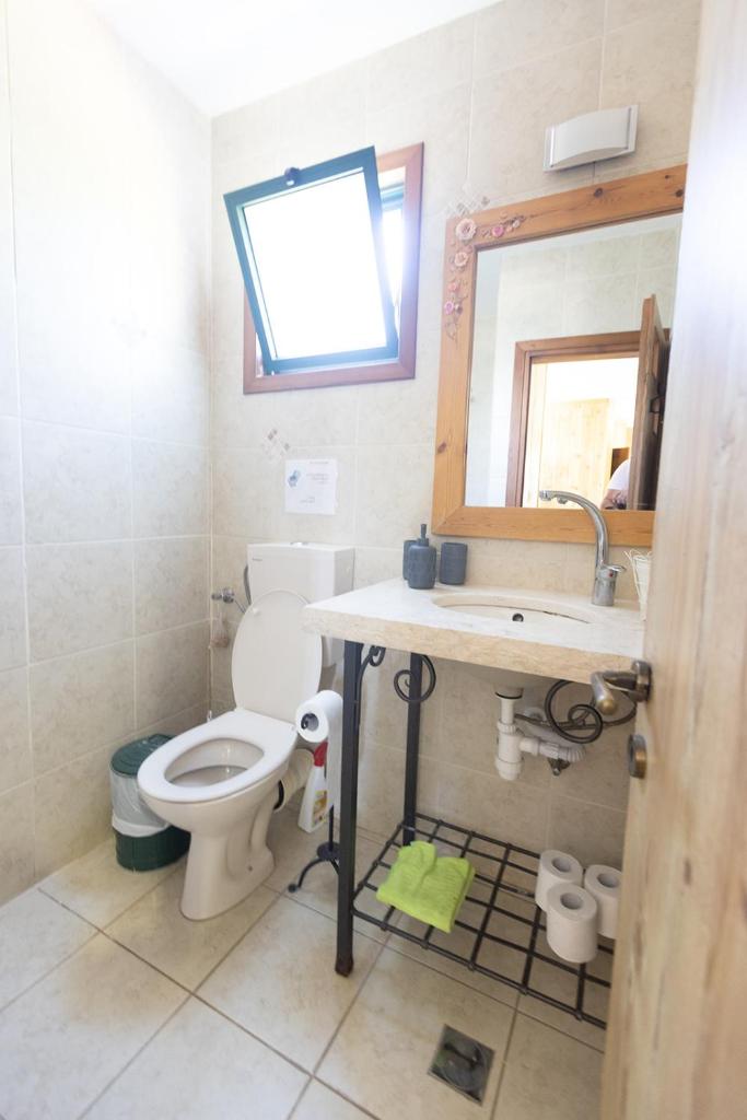 צימר בלוטים באמנון photo 1