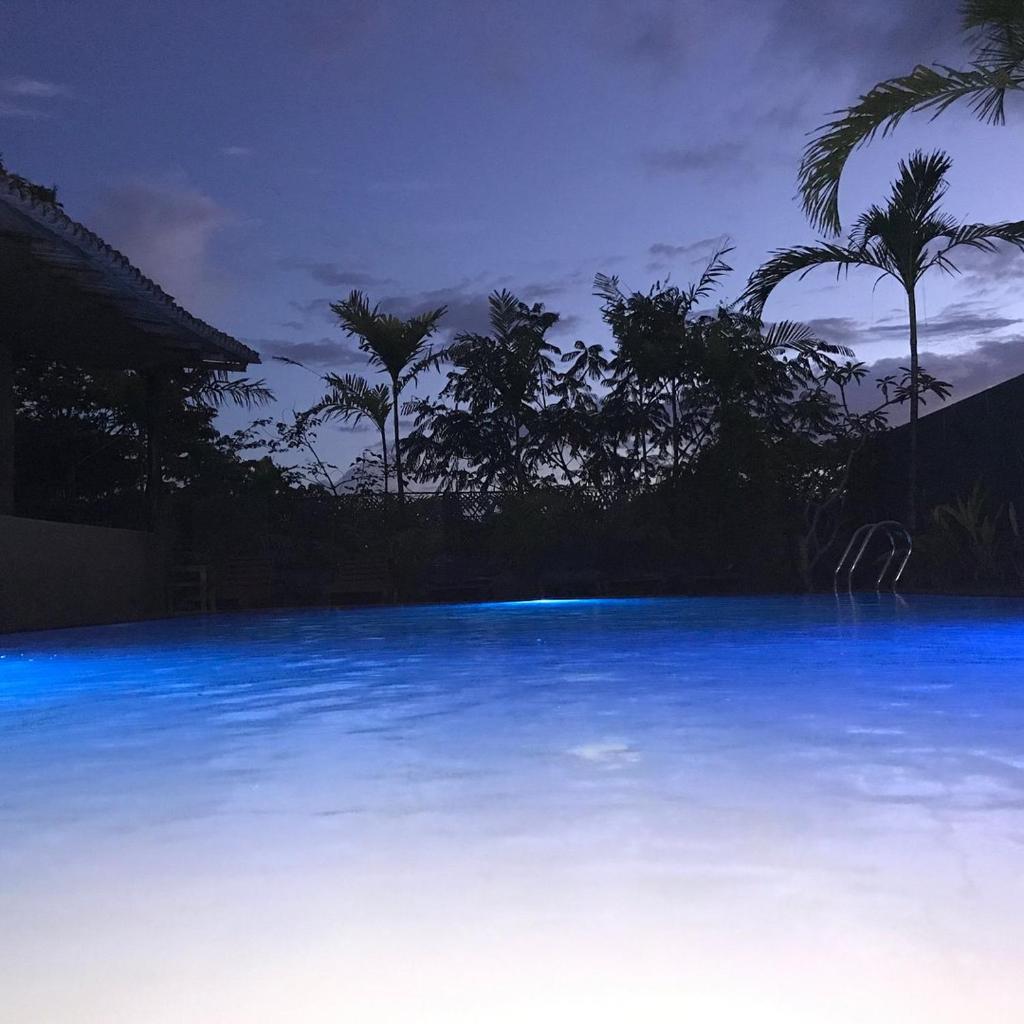 Ayurveda Mountain Villa photo 4