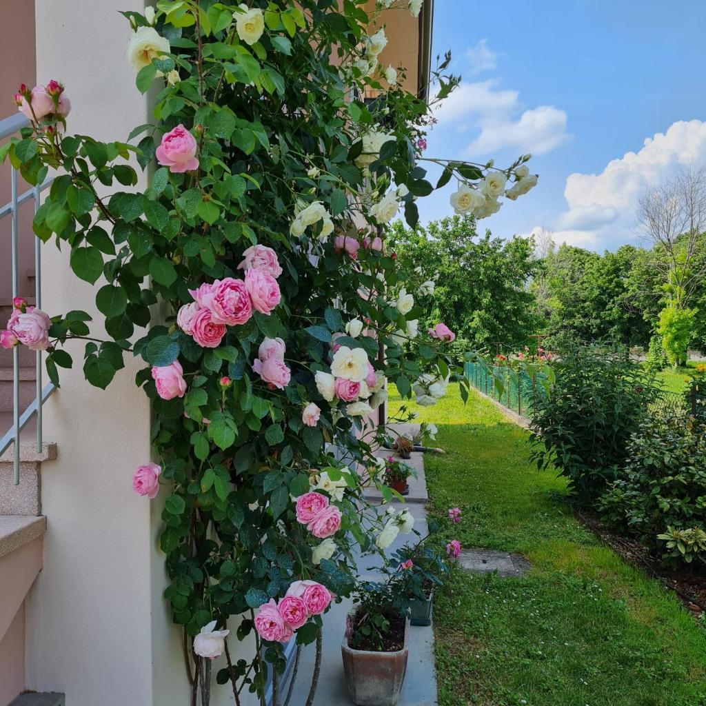 A casa di Albino e Giovannina photo 3