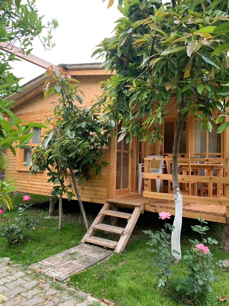 BUNGALOV