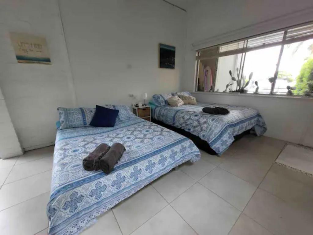 Jones Beach Haven Studio - Kiama Downs Beachside Escape photo 2