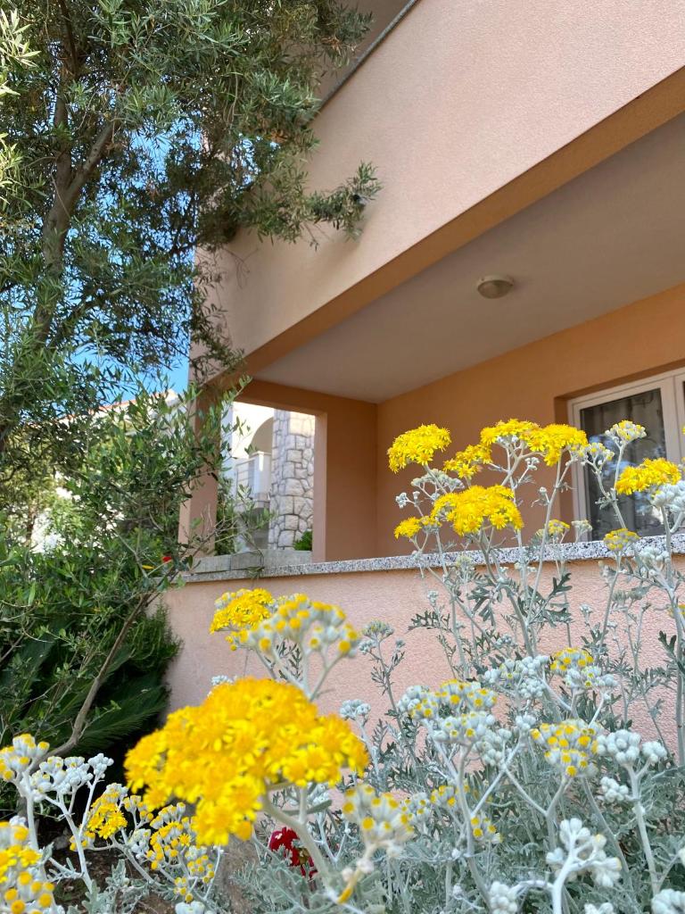Apartments Ivana photo 4