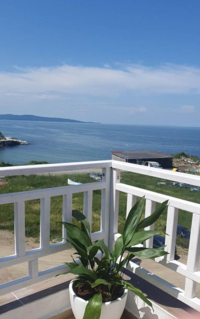 Guest House Compass photo 3
