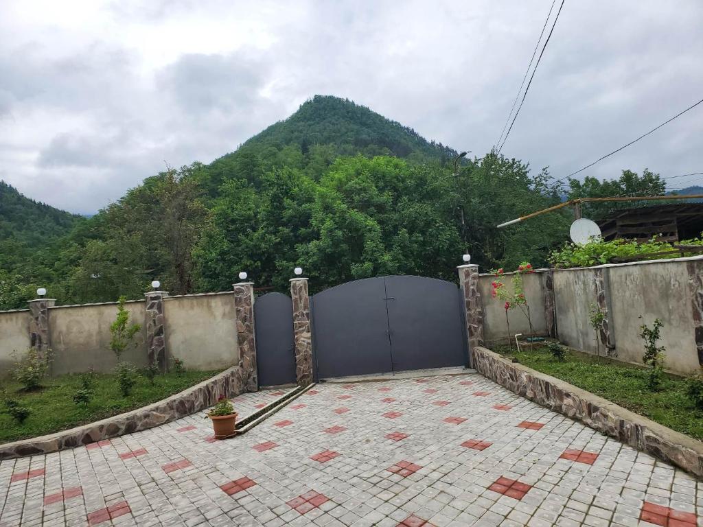 DIOSKURIA BORJOMi photo 1