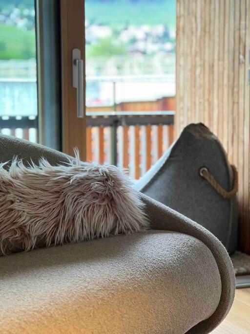 the NEST flims photo 3