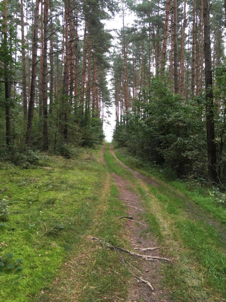 Domek letniskowy Siemiany photo 4
