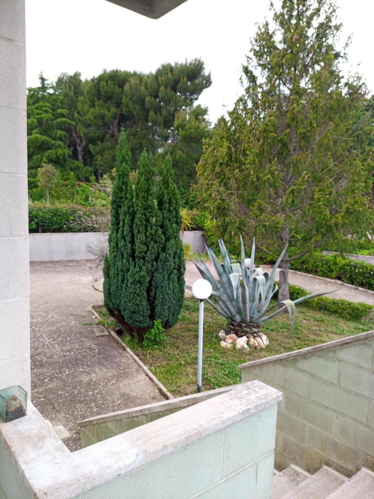 Villa Paride photo 1