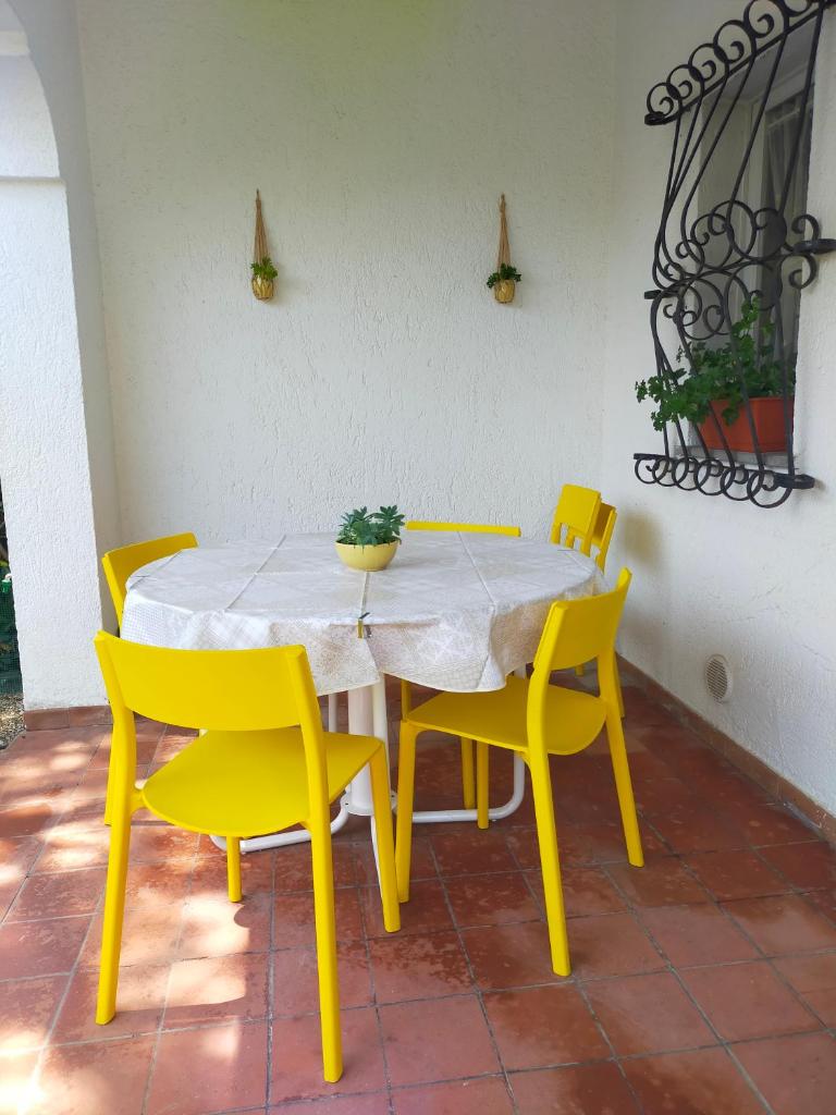 stella marina photo 1