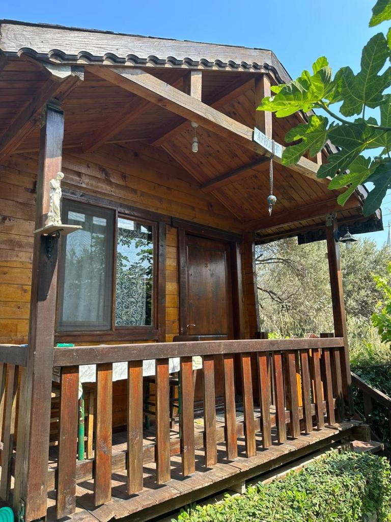 Olimpos Bungalov Apart photo 4