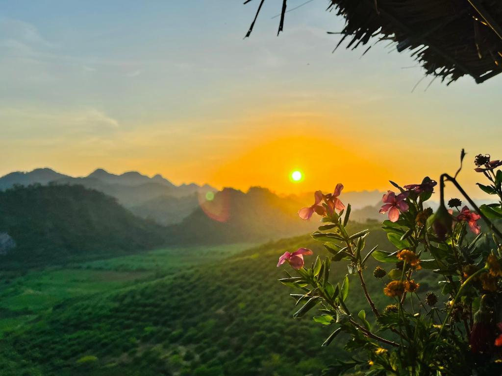 Mộc Châu Peachy Garden Homestay