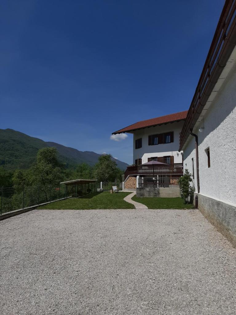 Holiday House Dori photo 4