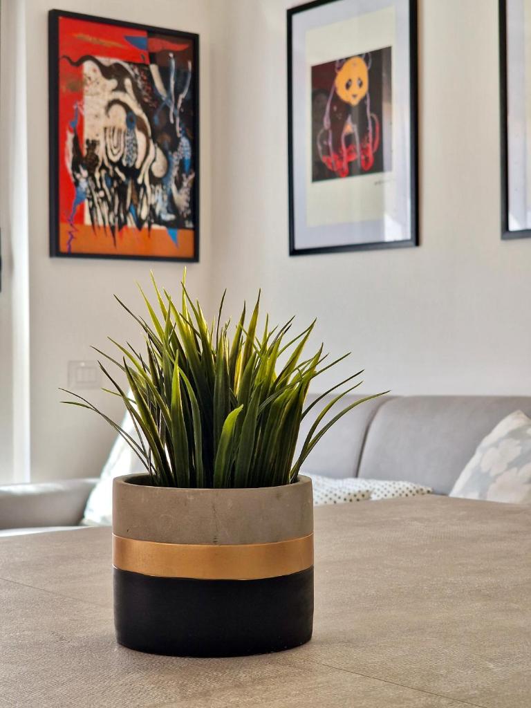 Paolina's Home by TraMonti Apartments photo 1