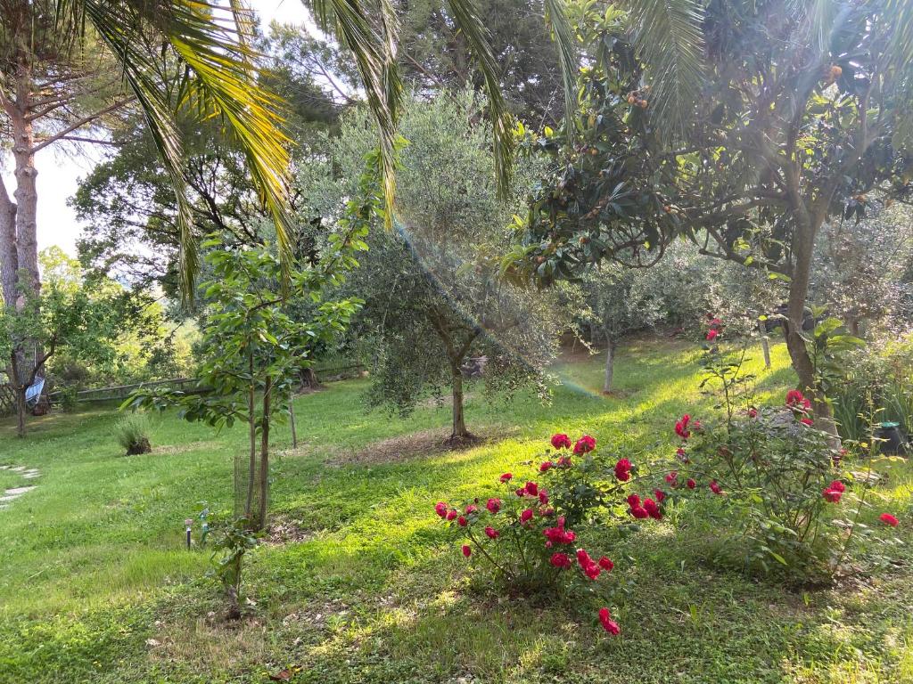 Villa Antonella photo 3