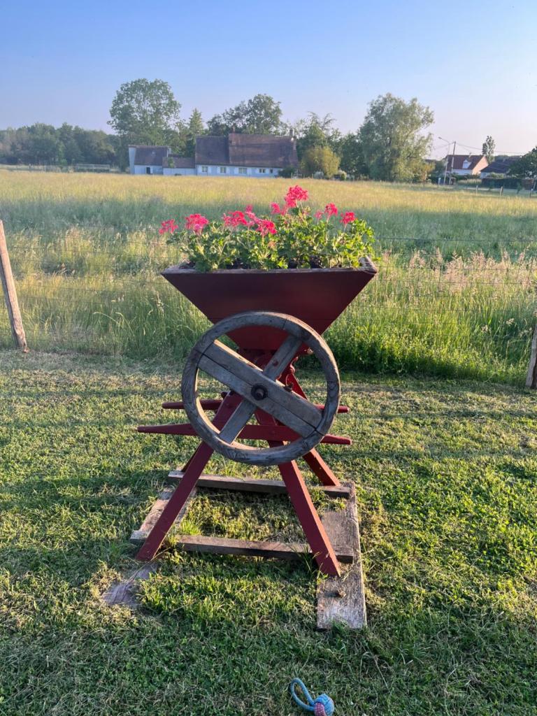 Oh ! Fleurs des champs photo 1