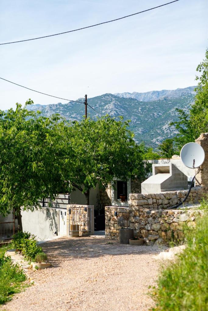 Studio apartman "Stara kuća" photo 3