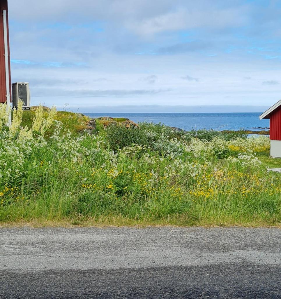 Liten leilighet i Berlevåg photo 1
