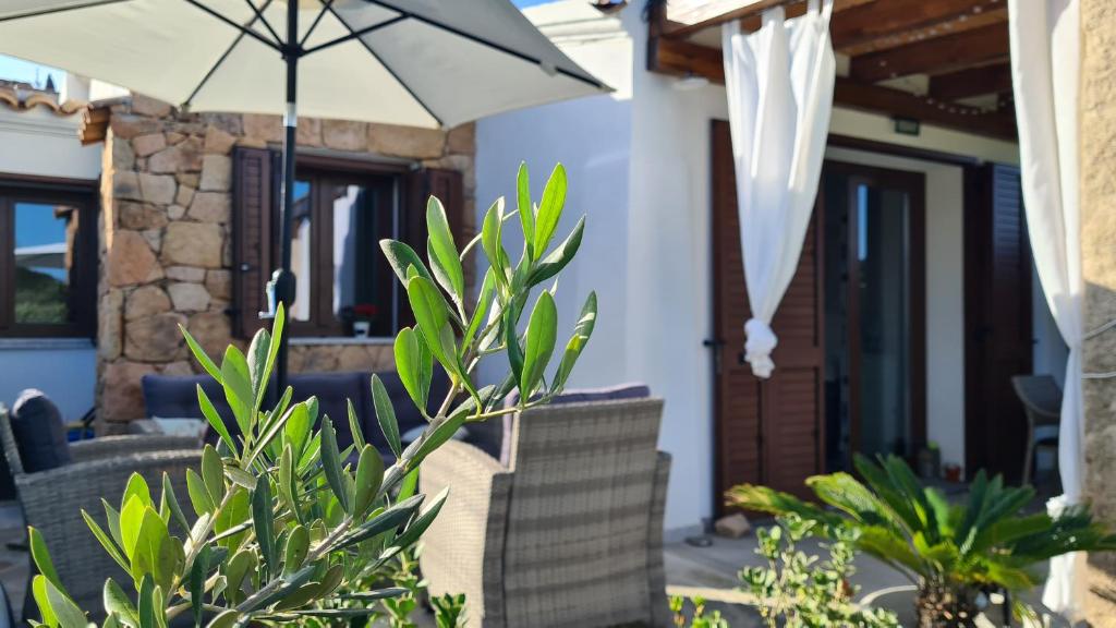 Villa vista pineta - 90 mt dalla spiaggia photo 1