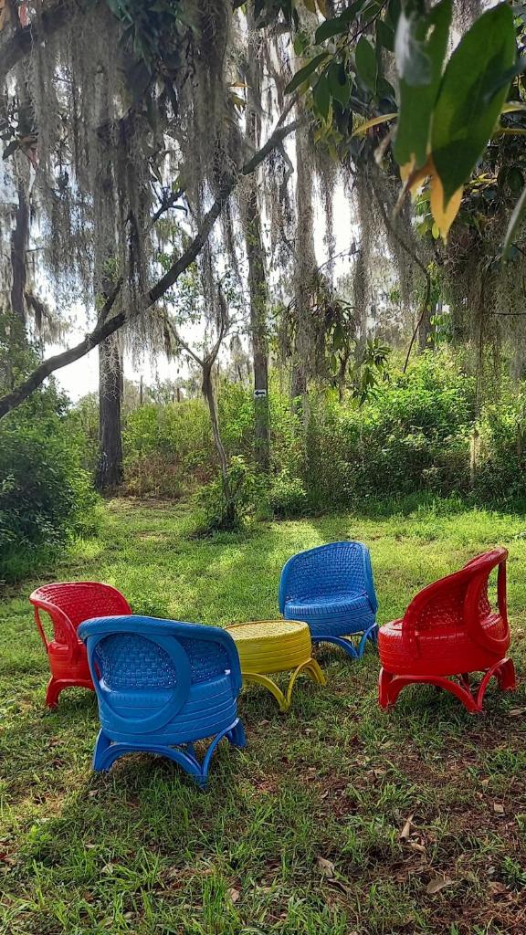 Pinar del Valle - Glamping en el Bosque - Propiedad Completa en Constanza photo 4