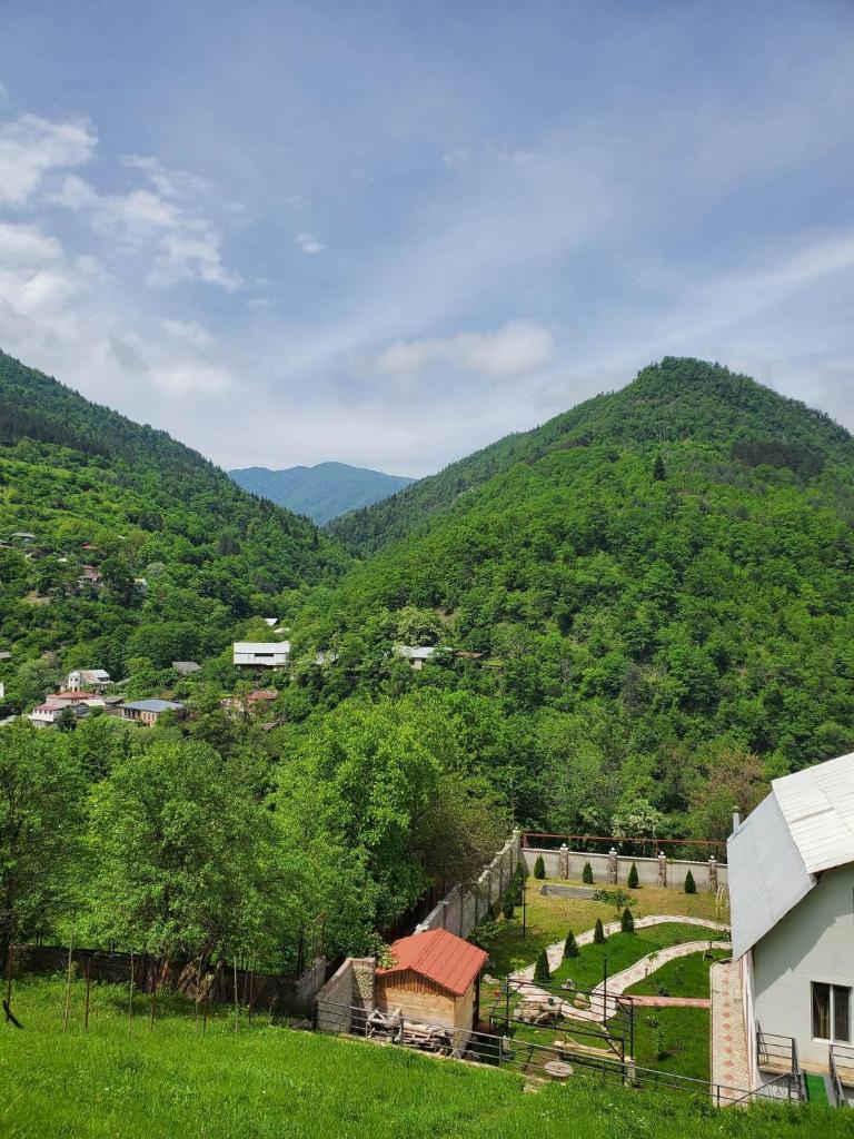 DIOSKURIA BORJOMi photo 2