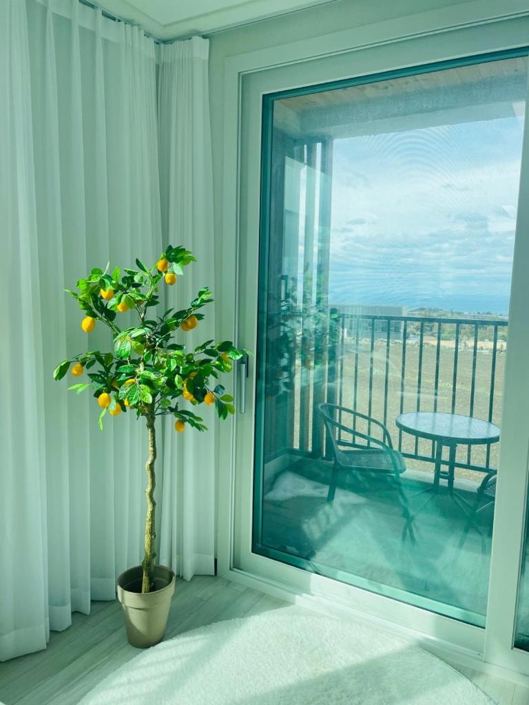 Honey Berry House photo 4