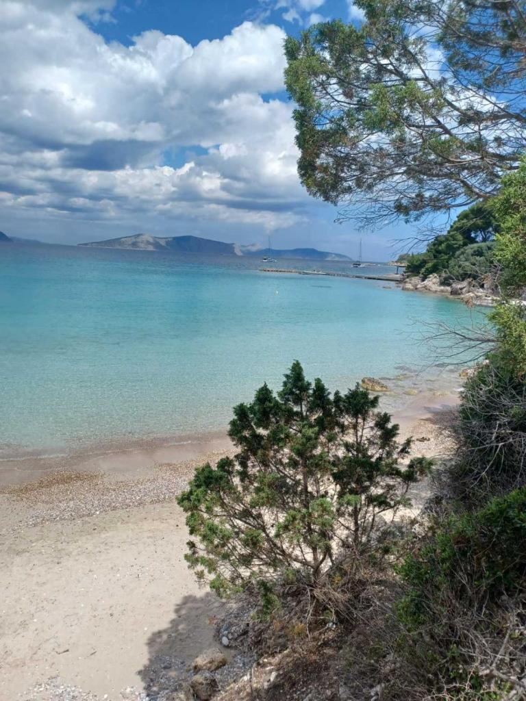 Villa Red Porto Cheli photo 3