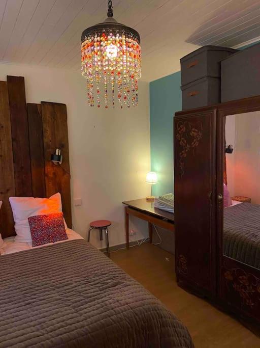 Le Petit Poucet Appartement rez-de-chaussée avec grand jardin photo 4