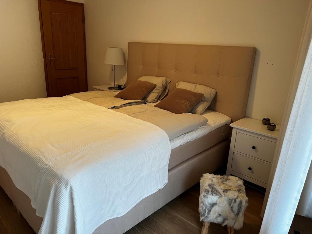 2.5 Zimmer Wohnung Davos Platz photo 4