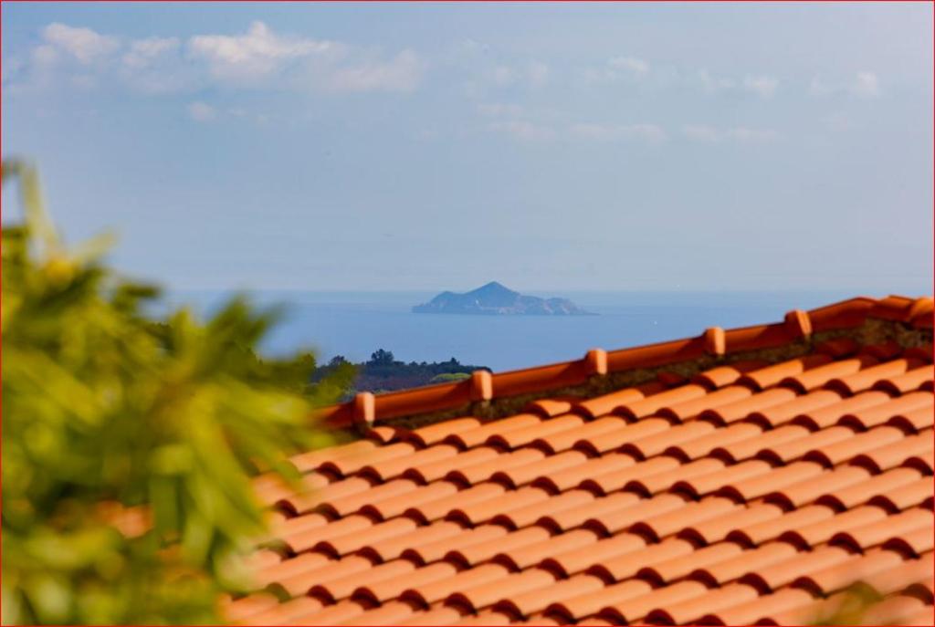 La Loggia di Vanda - Goelba photo 1