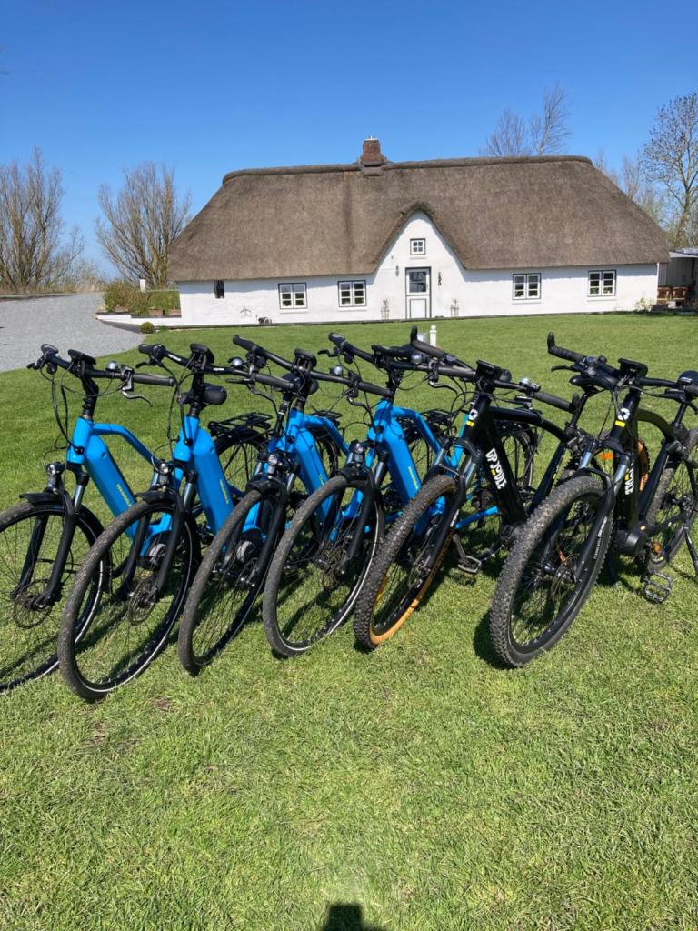Reetdachhaus, Sauna, E-Bikes, 6 Personen photo 2
