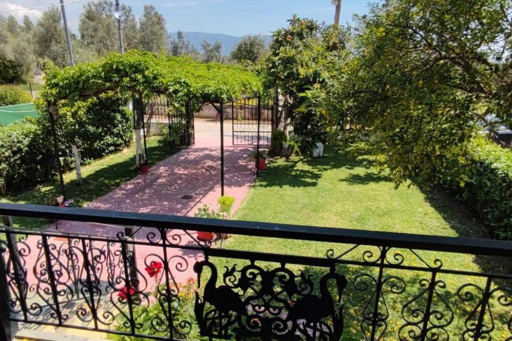 Eretria vacation house photo 3