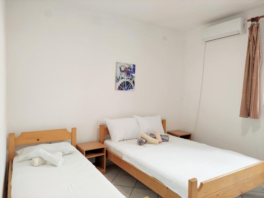Guest House Violet photo 3