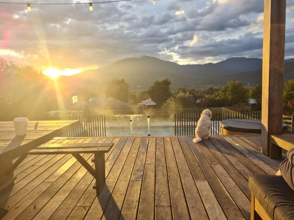 The Alpine Retreat photo 1