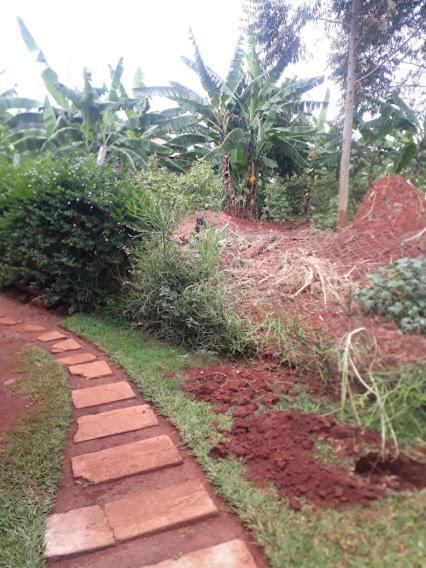 Hfarms Guest House photo 1