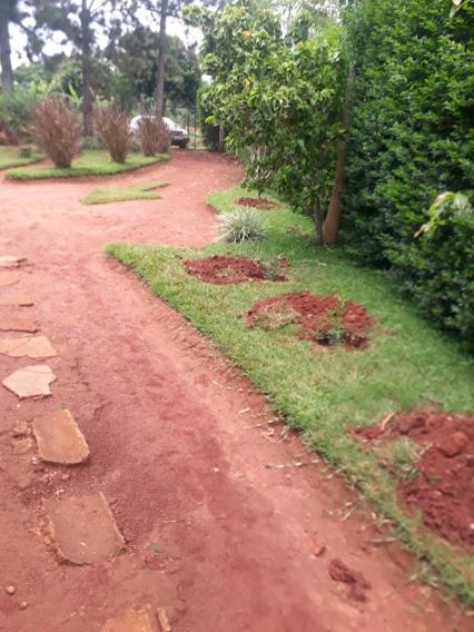 Hfarms Guest House photo 2