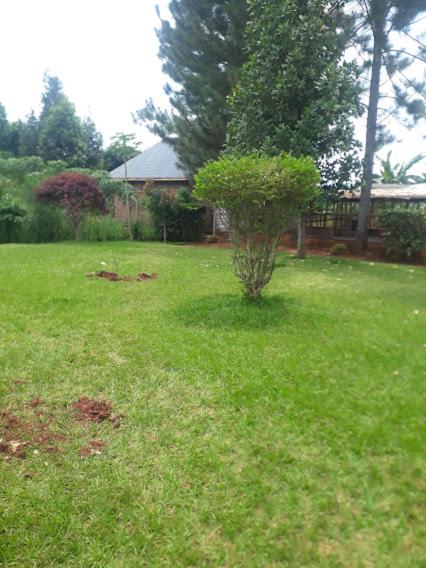 Hfarms Guest House photo 3