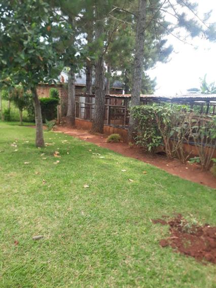 Hfarms Guest House photo 4