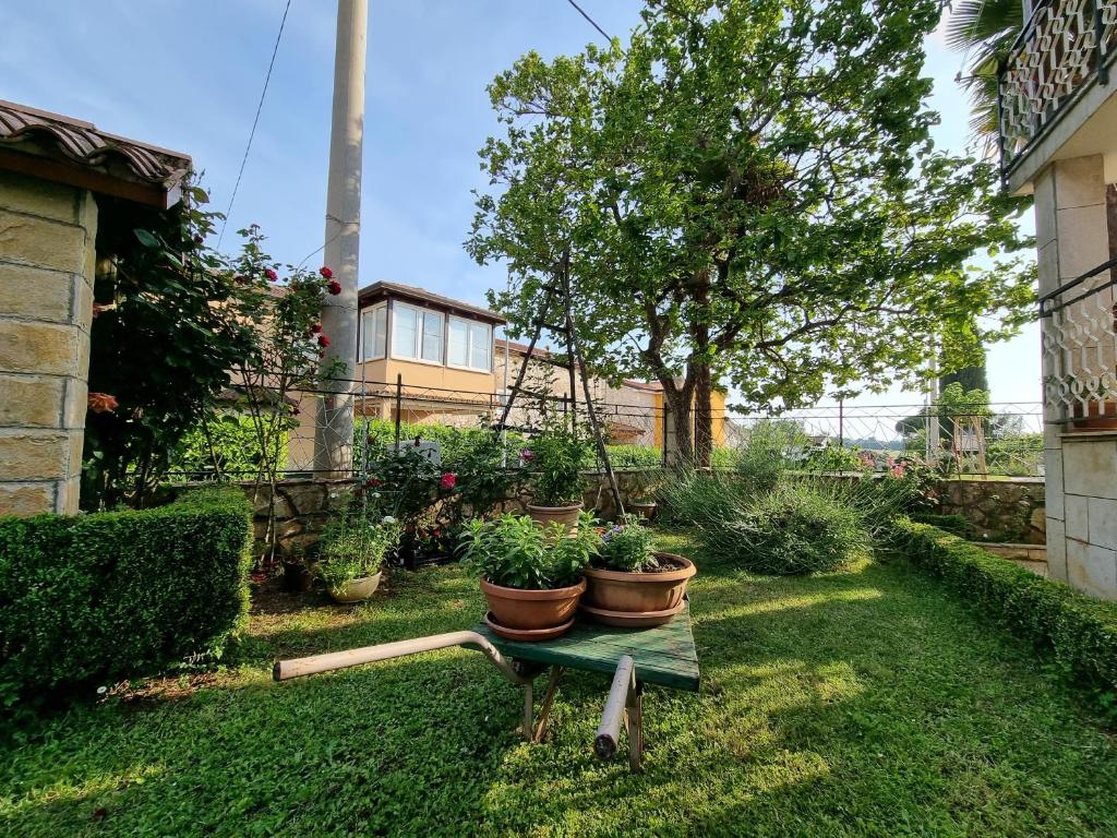 Apartment Felice photo 2