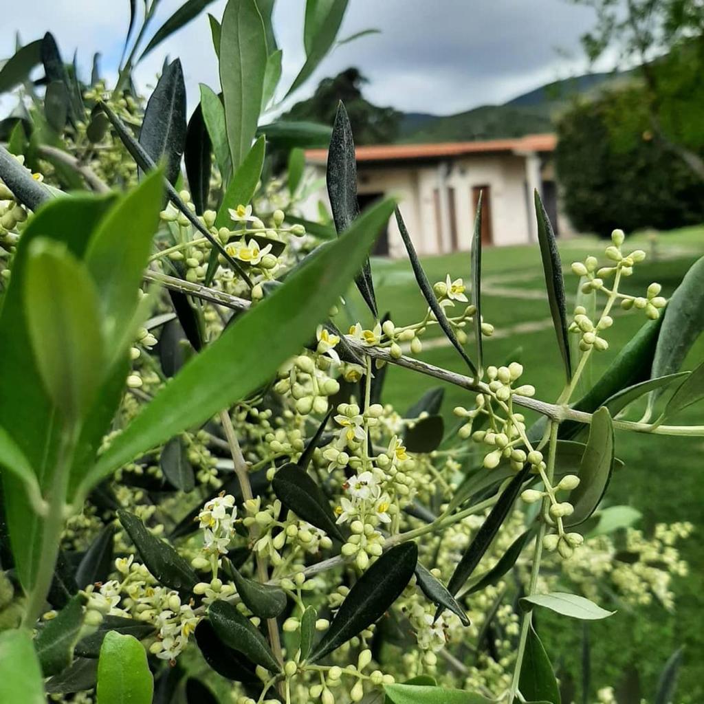 AgriturismoValbona photo 3