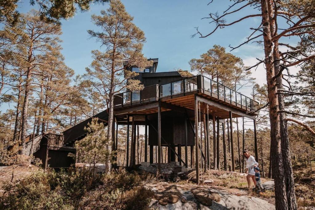 Luxurious Tree Top Cabin by the lake