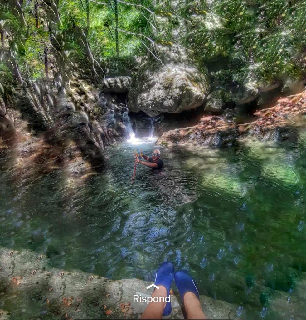 Villa con bosco giardino e ruscello ad uso esclusivo photo 1
