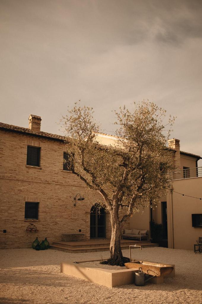 Casale Tre Gelsi photo 3