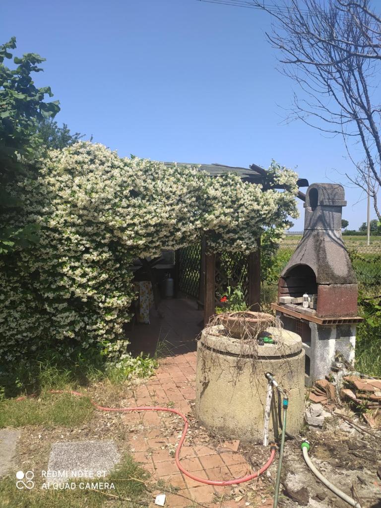 Casa delle Rose Appartamento Gelsomino photo 2