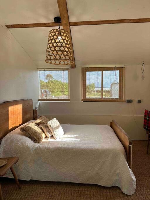 Cosy maison solaire + jacuzzi a la Ferme photo 4