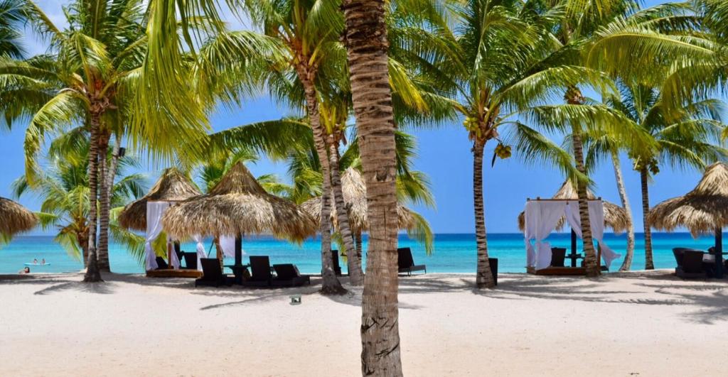 A little gem @CadaquesCaribe Bayahibe Dominicus photo 2